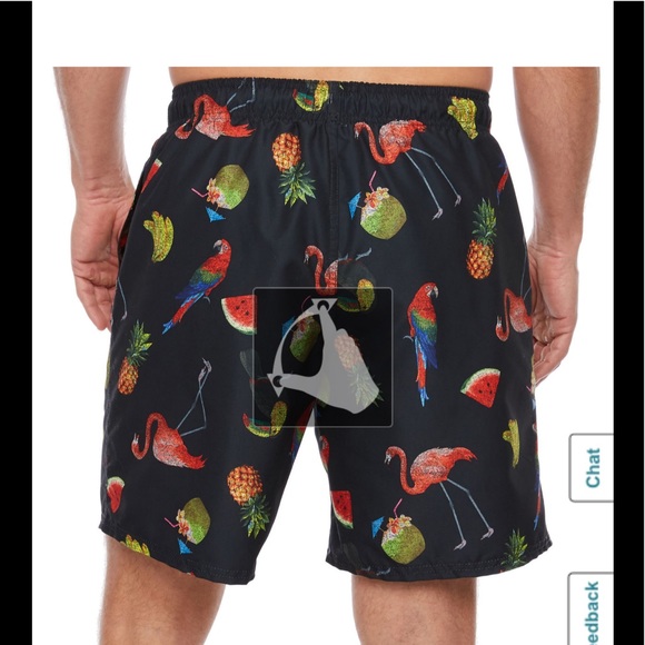 New Men’s St John Bay Nylon Swim Trunks - Picture 4 of 7